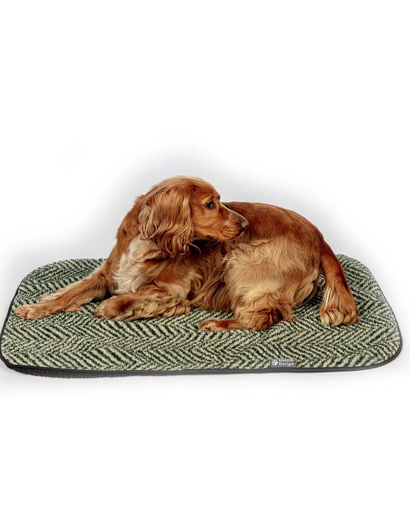 Pet Beds & Blankets